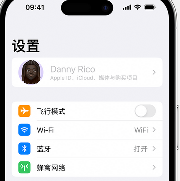 龙江镇appleID维修服务iPhone设置中Apple ID显示为灰色无法使用 