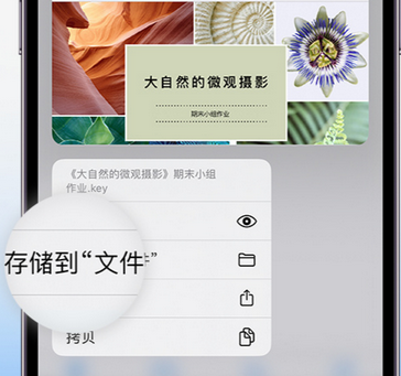 龙江镇apple维修中心分享iPhone文件应用中存储和找到下载文件