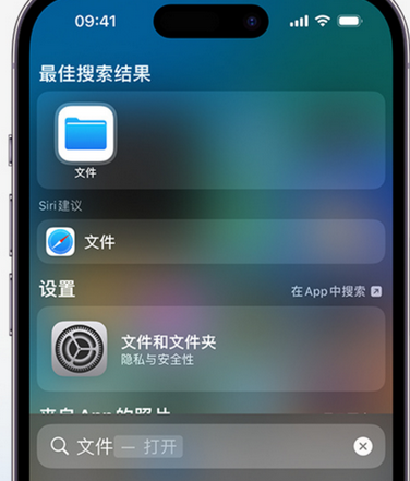 龙江镇apple维修中心分享iPhone文件应用中存储和找到下载文件