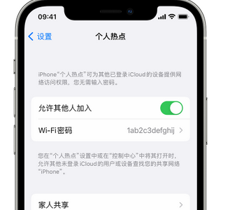 龙江镇apple服务站点分享iPhone上个人热点丢失了怎么办