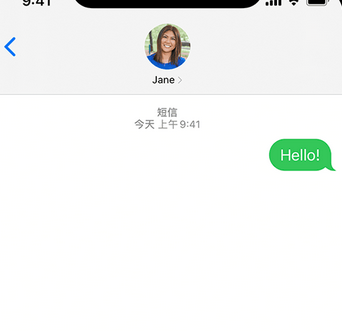 龙江镇apple维修iPhone上无法正常发送iMessage信息