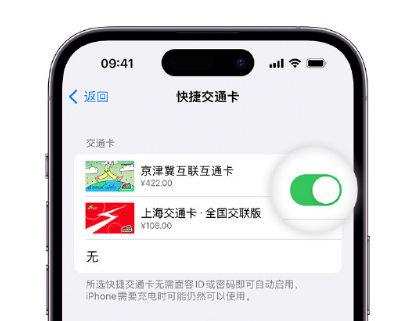 龙江镇apple维修点分享iPhone上更换Apple Pay快捷交通卡手绘卡面 