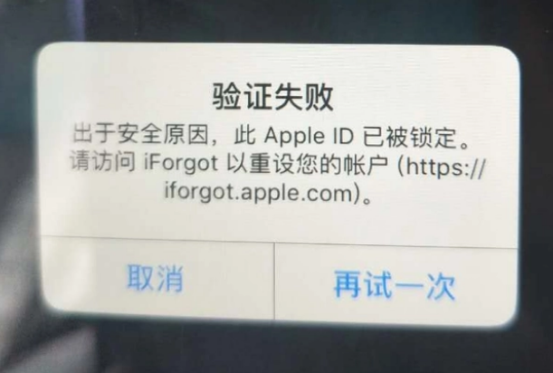 龙江镇iPhone维修分享iPhone上正常登录或使用AppleID怎么办 