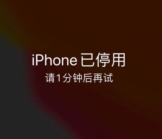 龙江镇苹果手机维修分享:iPhone 显示“不可用”或“已停用”怎么办？还能保留数据吗？ 