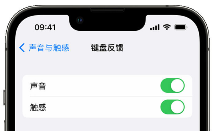 龙江镇苹果手机维修分享iPhone 14触感键盘使用方法 