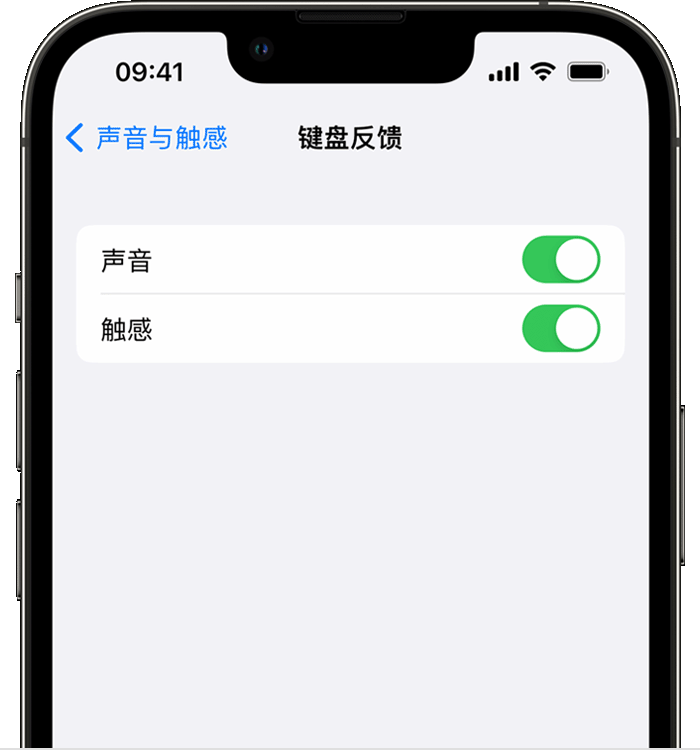 龙江镇苹果14维修店分享如何在 iPhone 14 机型中使用触感键盘 