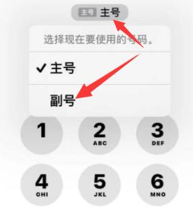 龙江镇苹果14维修店分享iPhone 14 Pro Max使用副卡打电话的方法 