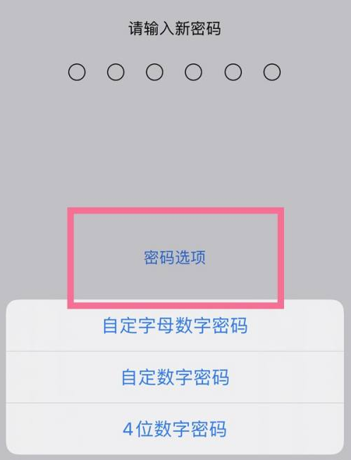 龙江镇苹果14维修分享iPhone 14plus设置密码的方法 