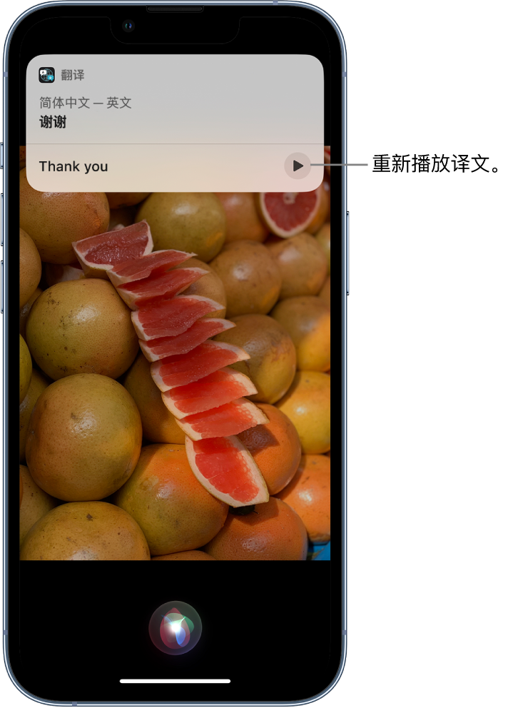 龙江镇苹果14维修分享 iPhone 14 机型中使用 Siri：了解 Siri 能帮你做什么 