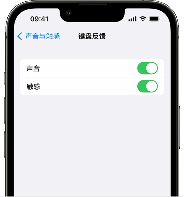 龙江镇苹果14维修分享iPhone 14 系列机型如何开启键盘声音或触感反馈 