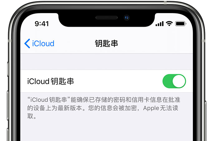 龙江镇苹果手机维修分享在 iPhone 上开启 iCloud 钥匙串之后会储存哪些信息 