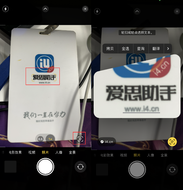 龙江镇苹果手机维修分享升级iOS 16后如何通过相机翻译文本 
