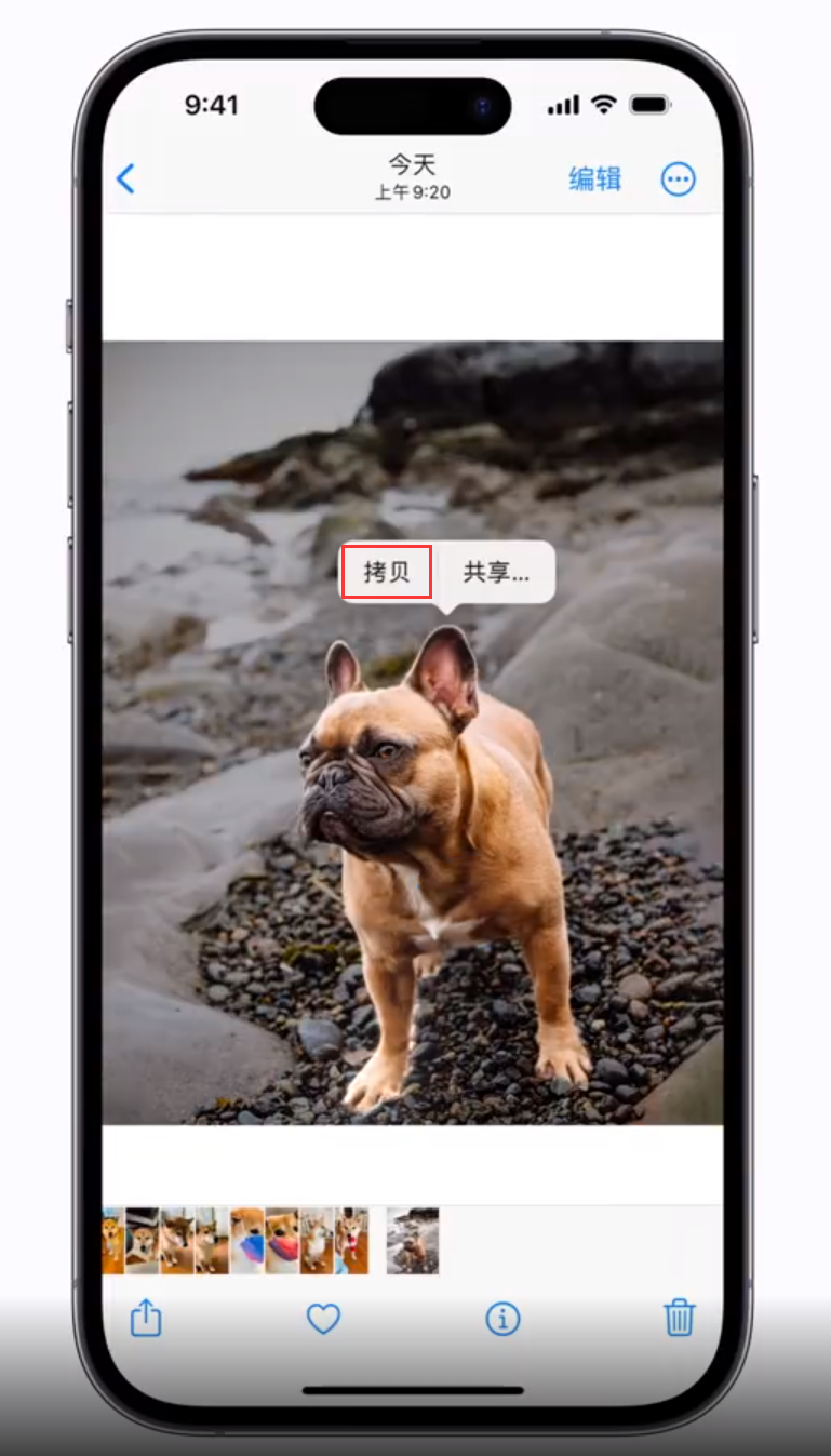 龙江镇苹果手机维修分享 iOS 16 自带一键抠图功能 