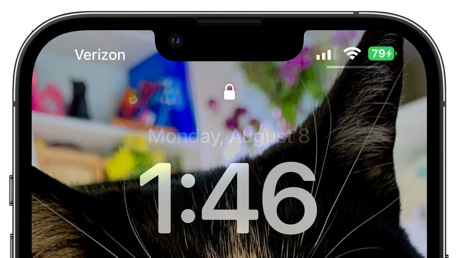 龙江镇苹果手机维修分享iOS 16 beta 5 支持状态栏显示电池百分比，如何开启？支持哪些机型 