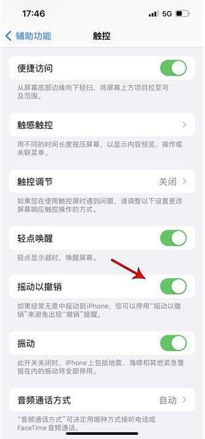 龙江镇苹果手机维修分享iPhone手机如何设置摇一摇删除文字 