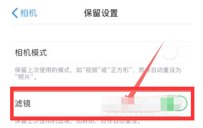 龙江镇苹果13维修分享iPhone13拍照有绿点是怎么回事 