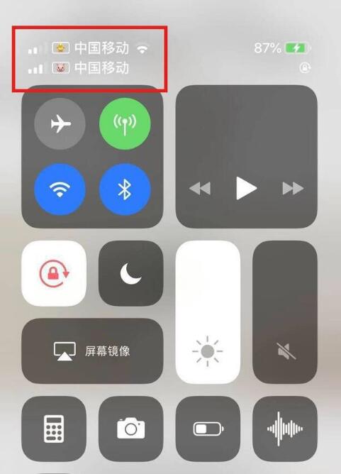 龙江镇苹果手机维修分享为 iPhone 12 双卡设置标签 