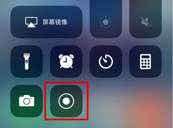 龙江镇苹果手机维修分享iPhone12录屏方法教程 
